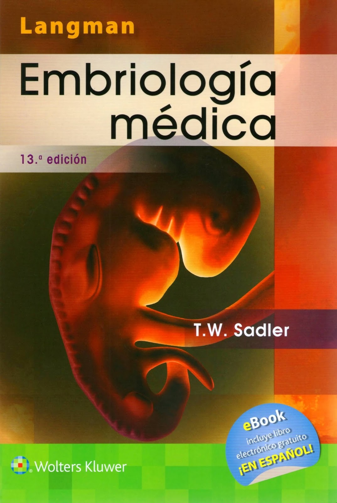 Embriologia Medica Langman 9 Edicion Pdf